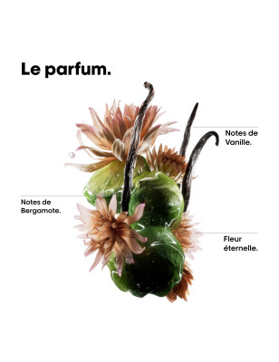 Huile réparatrice Absolut Repair Molecular – nutrition, anti-frisottis, brillance