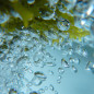 Shampoing marin aux algues Ocean Therapy - Étape 3 Shampoing marin aux algues Ocean Therapy - Étape 3