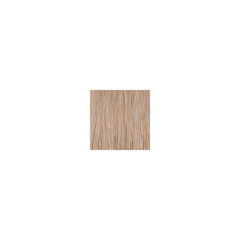Coloration permanente crème hybride Color. Blond platine cendré Coloration permanente crème hybride Color. Blond platine cendré