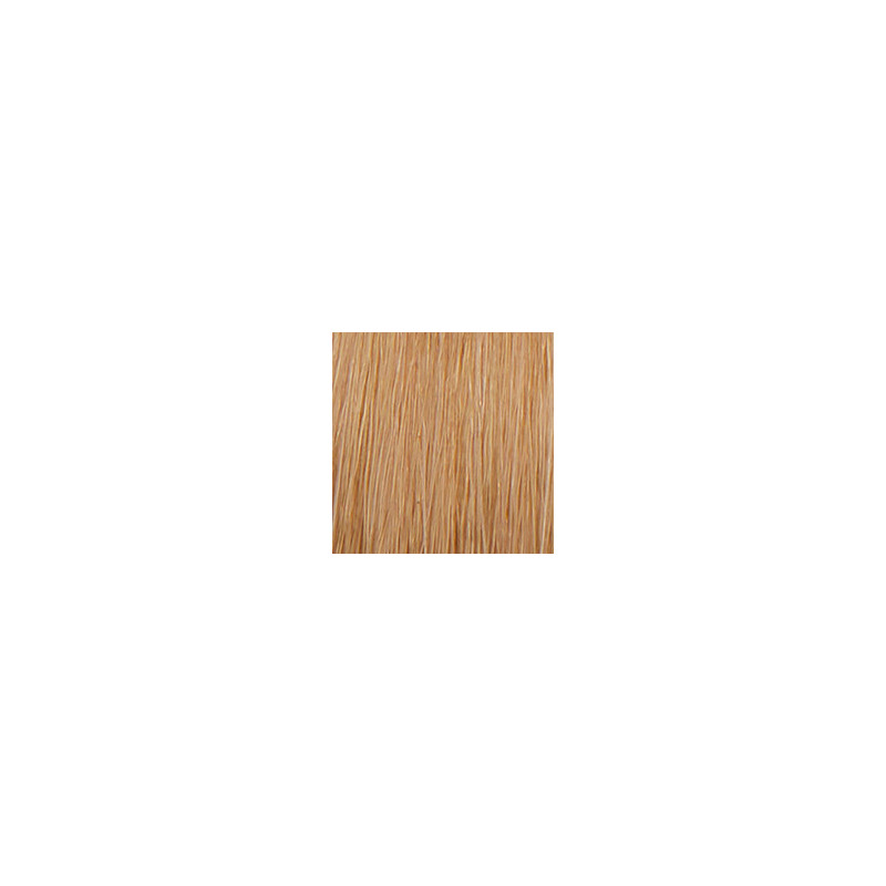 Coloration permanente crème hybride Color. Blond platine cendré irisé Coloration permanente crème hybride Color. Blond platine cendré irisé