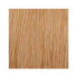 Coloration permanente crème hybride Color. Blond platine cendré irisé Coloration permanente crème hybride Color. Blond platine cendré irisé