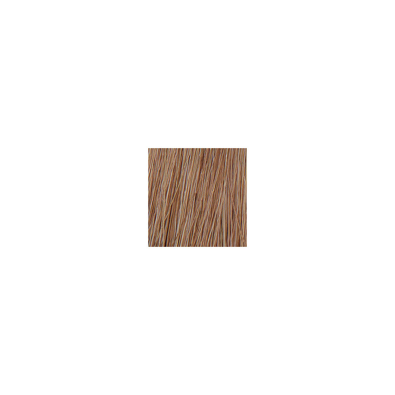 Coloration permanente crème hybride Color. Blond clair cendré Coloration permanente crème hybride Color. Blond clair cendré