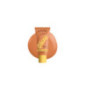 Fond de teint éclat lumineux Buttermelt Glaze - 03 Cashew Butta
