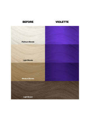 Coloration temporaire violette n°43