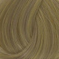 Coloration 10.21 Blond tres tres clair irisé cendré Coiffe