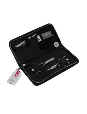 Set ciseaux droit et effileur + rasoir 5.5