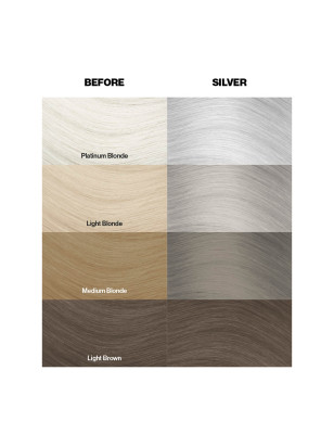 Coloration temporaire silver argent n°27