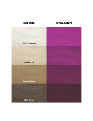 Coloration temporaire cyclamen n°41