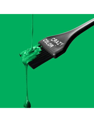 Coloration temporaire pine green n°46