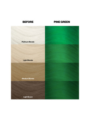 Coloration temporaire pine green n°46