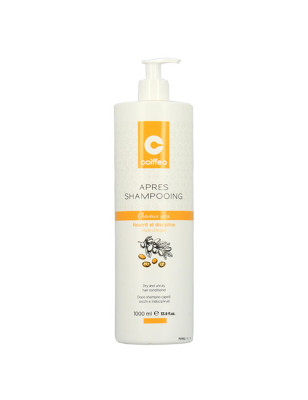 Après-shampooing cheveux secs