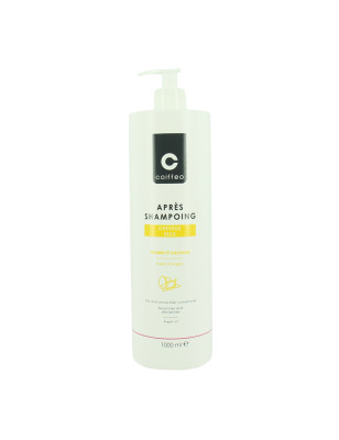 Après-shampooing cheveux secs