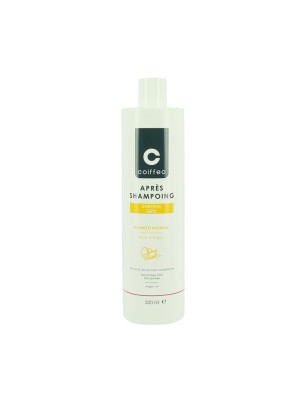 Après-shampooing cheveux secs