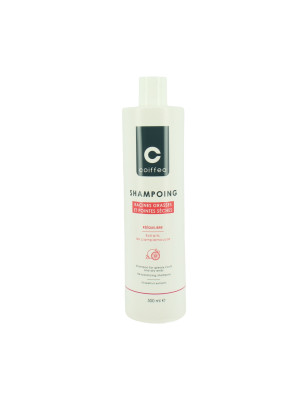 Shampooing rééquilibrant