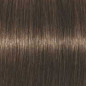 Coloration d'oxydation Igora Royal 5-65 Chatain clair marron doré Coloration d'oxydation Igora Royal 5-65 Chatain clair marron doré