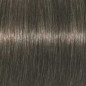 Coloration d'oxydation Igora Royal 6-1 Blond foncé cendré Coloration d'oxydation Igora Royal 6-1 Blond foncé cendré