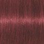 Coloration d'oxydation Igora Royal 6-88 Blond foncé rouge extra Coloration d'oxydation Igora Royal 6-88 Blond foncé rouge extra