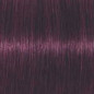 Coloration d'oxydation Igora Royal 6-99 Blond foncé violet extra Coloration d'oxydation Igora Royal 6-99 Blond foncé violet extra
