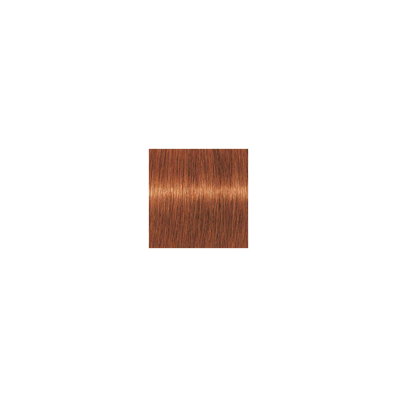 Coloration d'oxydation Igora Royal 7-77  Blond cuivré extra