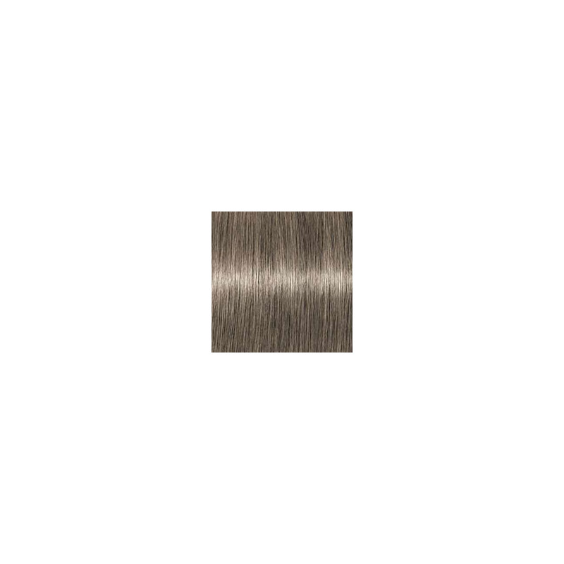 Coloration d'oxydation Igora Royal 8-1 Blond clair cendré