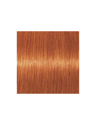 Coloration d'oxydation Igora Royal 8-77 Blond clair cuivré extra