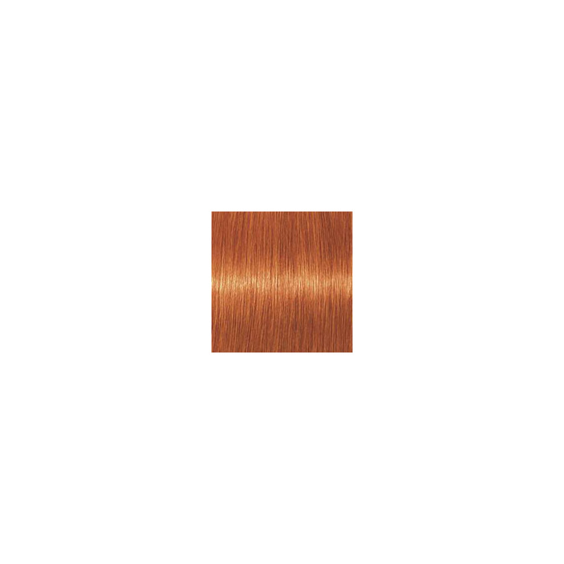 Coloration d'oxydation Igora Royal 8-77 Blond clair cuivré extra Coloration d'oxydation Igora Royal 8-77 Blond clair cuivré extra