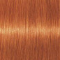 Coloration d'oxydation Igora Royal 8-77 Blond clair cuivré extra Coloration d'oxydation Igora Royal 8-77 Blond clair cuivré extra