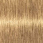 Coloration d'oxydation Igora Royal 9-55 Blond très clair doré extra Coloration d'oxydation Igora Royal 9-55 Blond très clair doré extra