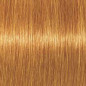Coloration d'oxydation Igora Royal 9-7 Blond très clair cuivré Coloration d'oxydation Igora Royal 9-7 Blond très clair cuivré