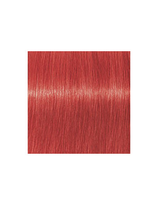 Coloration d'oxydation Igora Royal Mix 0-88 Rouge