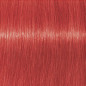 Coloration d'oxydation Igora Royal Mix 0-88 Rouge