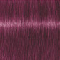 Coloration d'oxydation Igora Royal Mix 0-89 Magenta