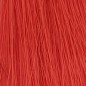 Coloration d'oxydation Color Keratin Oro Puro Coloration d'oxydation Color Keratin Oro Puro