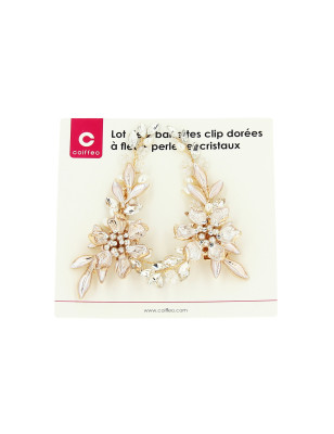 Lot de 2 barrettes dorées à fleurs