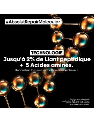 Masque sans rinçage Absolut Repair Molecular