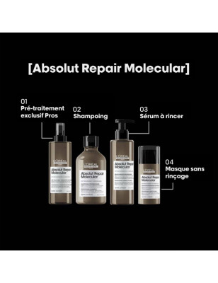 Pré-traitement concentré professionnel Absolut Repair Molecular
