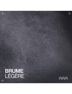 Brume Revitalisante Hybrid Curl Stylers