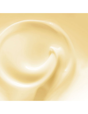 Shampooing Orofluido™ Lumière Argan