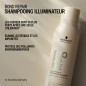 BM Shampooing Illuminateur BM Shampooing Illuminateur